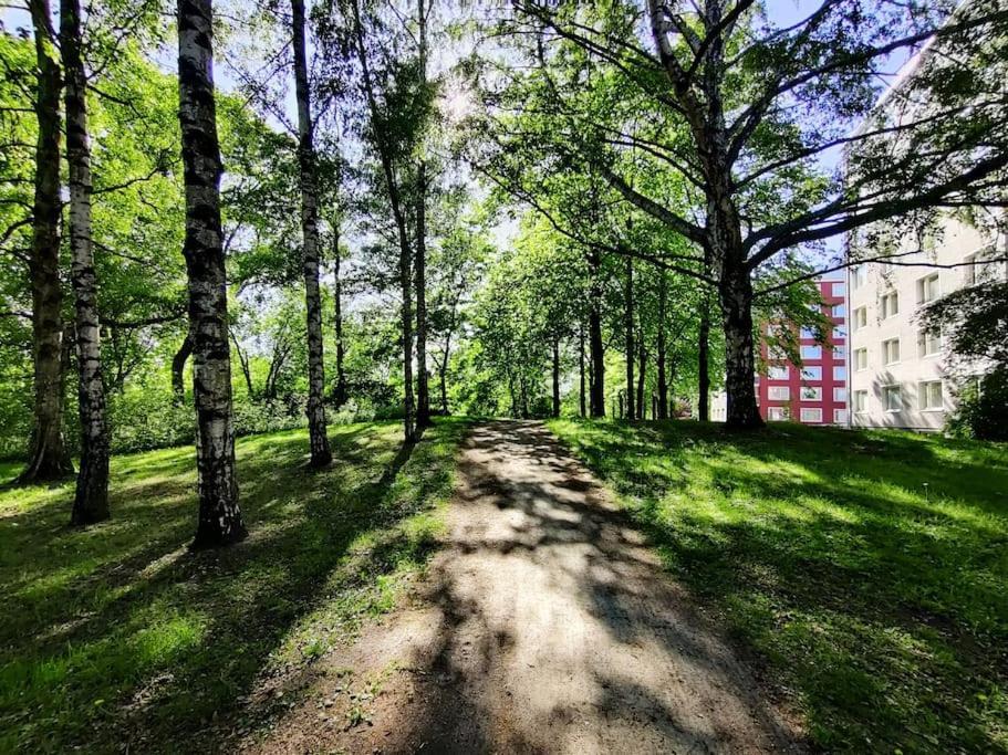 Private Apartment Near Ruissalo, Castle, Harbour - Ac, Free Parking Turku Buitenkant foto